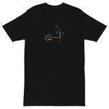 Men’s premium heavyweight tee - "Quantum fizzics" - comes in two colors